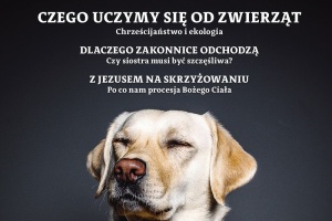 miesięcznik w drodze